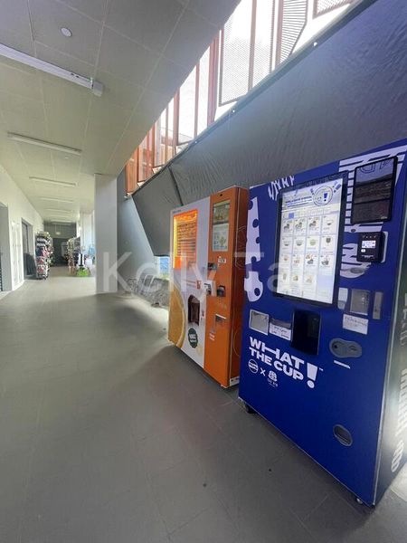 Shop / Shophouse for Sale: 76 Circuit Road - Image 3