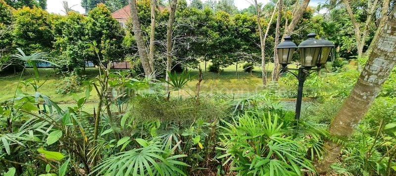 6 Bed Bungalow (Landed) for Sale in  Tanglin Hill Villas - Image 9