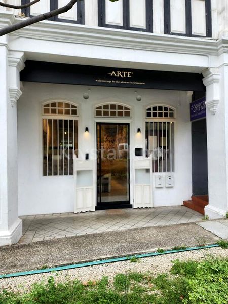 Shop / Shophouse for Sale: A Distinguished Freehold Shophouse on Cantonment Road - Image 3