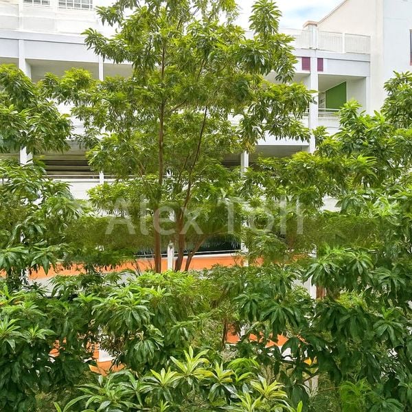 Common Room (HDB) for Rent in  476 Sembawang Drive - Image 5