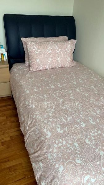 Special (S2) HDB for Rent in 1C Cantonment Road - Image 5