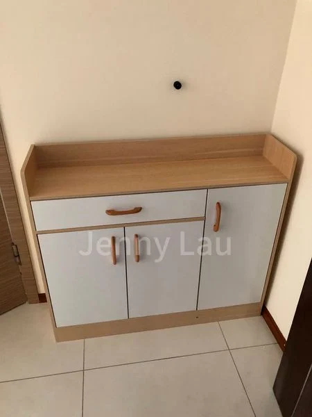 Special (S2) HDB for Rent in 1C Cantonment Road - Image 2