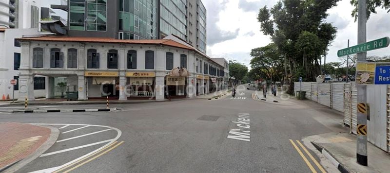 Shop / Shophouse for Rent: Mackenzie Road - Image 4