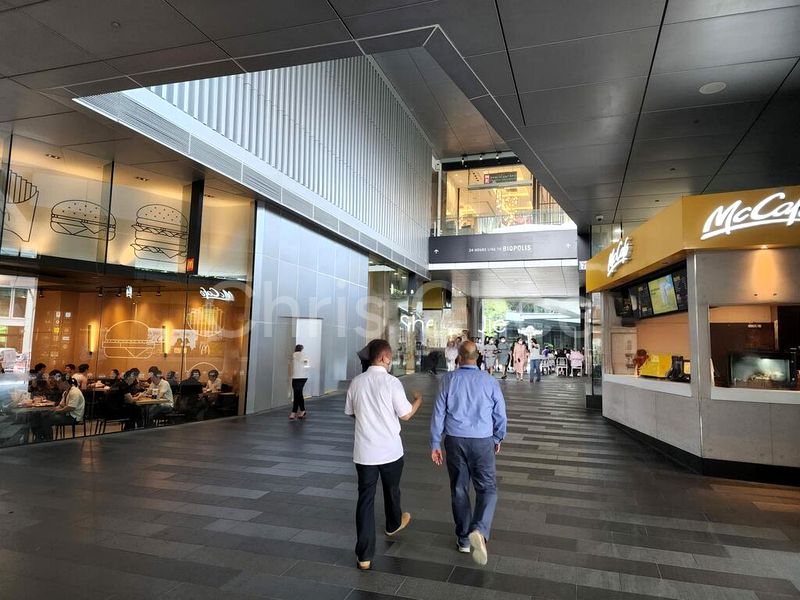 The Metropolis - Image 8