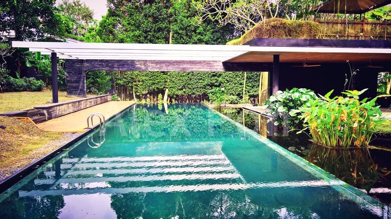 6 Bed Good Class Bungalow (Landed) for Rent in Cluny Road - Image 8