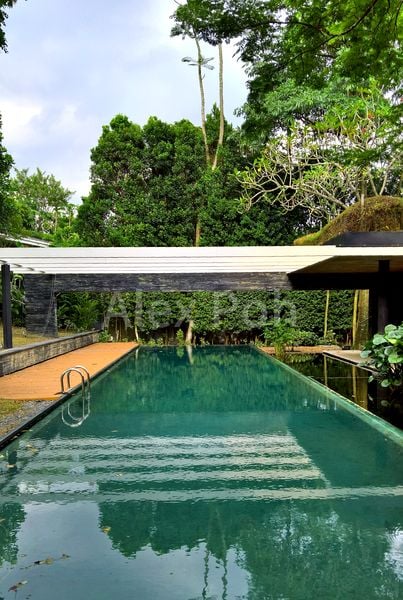 6 Bed Good Class Bungalow (Landed) for Rent in Cluny Road - Image 6