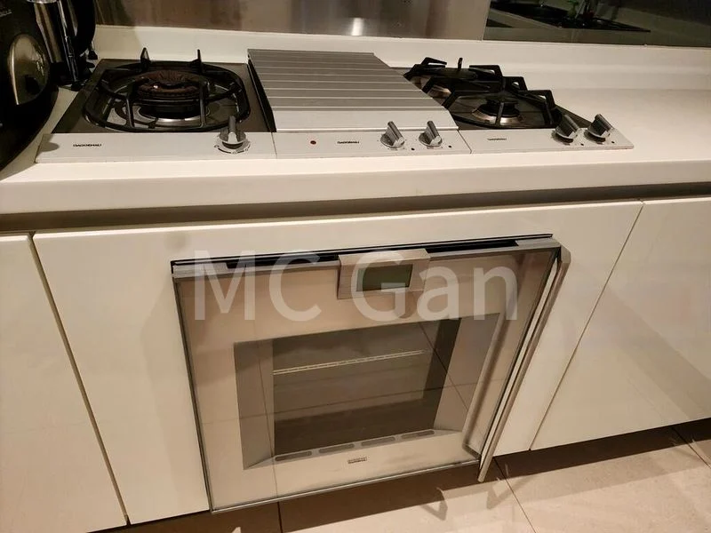 4 Bed Condo for Rent in The Orchard Residences - Image 7