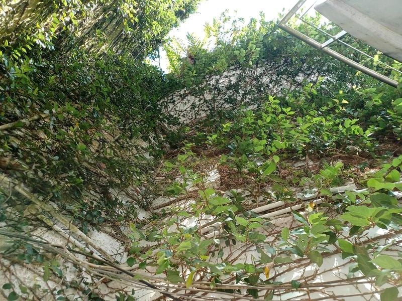 6 Bed Bungalow (Landed) for Sale in  Oei Tiong Ham Park - Image 1