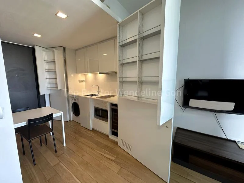 1 Bed Condo for Rent in  Skysuites @ Anson - Image 2