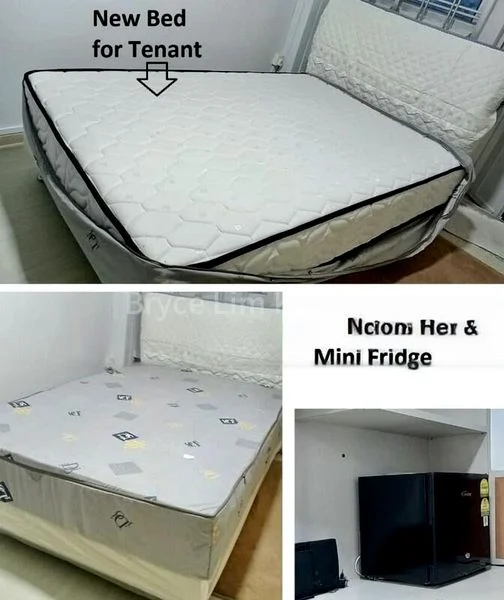 Room (HDB) for Rent in  522 Bedok North Avenue 1 - Image 4