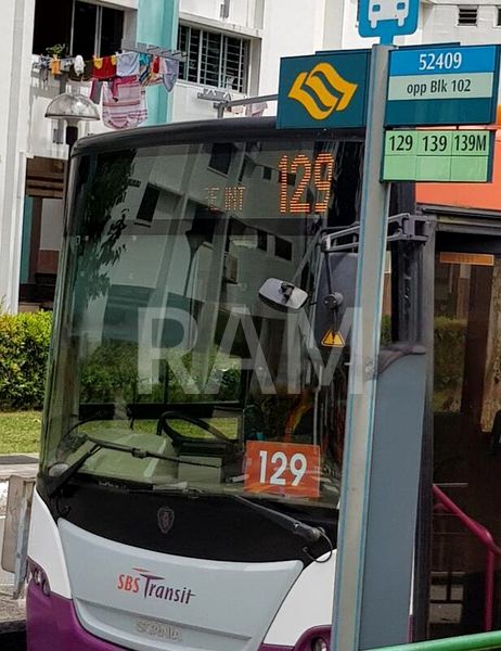 Common Room (Condo) for Rent in Kingsley Mansions - Image 6