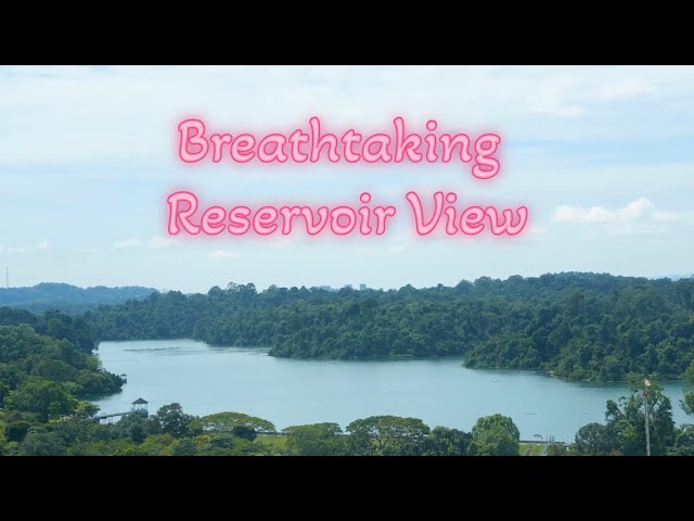 3 Bed Condo for Rent in Thomson 800 - Image 25