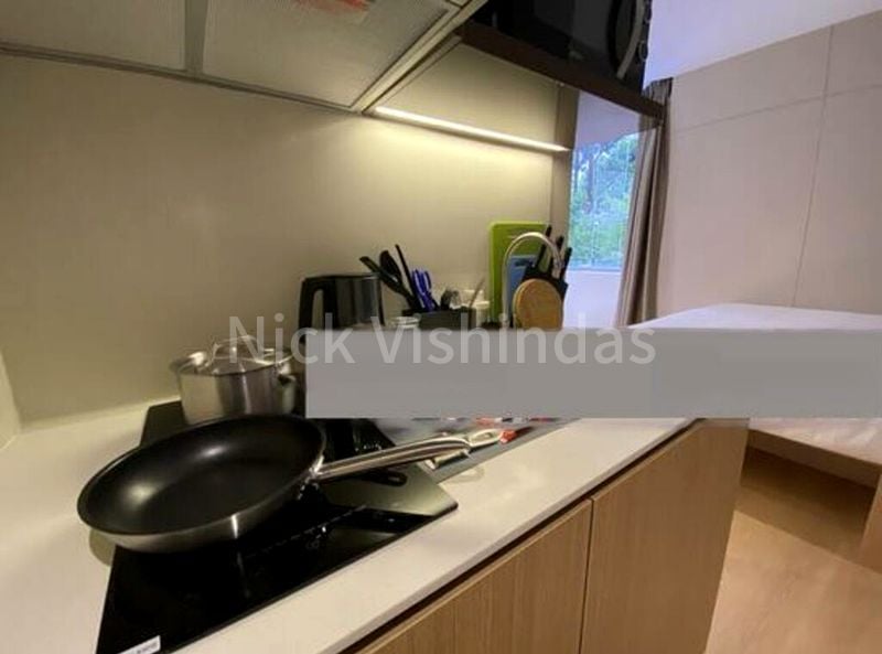 1 Bed Condo for Rent in  2 Mount Elizabeth Link - Image 16