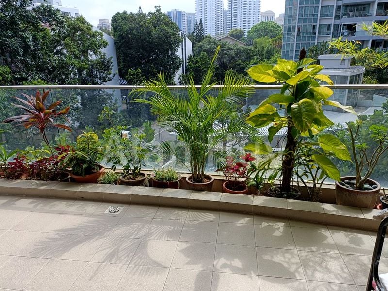 Room (Condo) for Rent in  One Jervois - Image 14