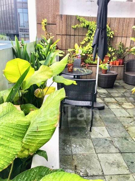 1 Bed Apartment (Condo) for Rent in  Riverside 48 - Image 9