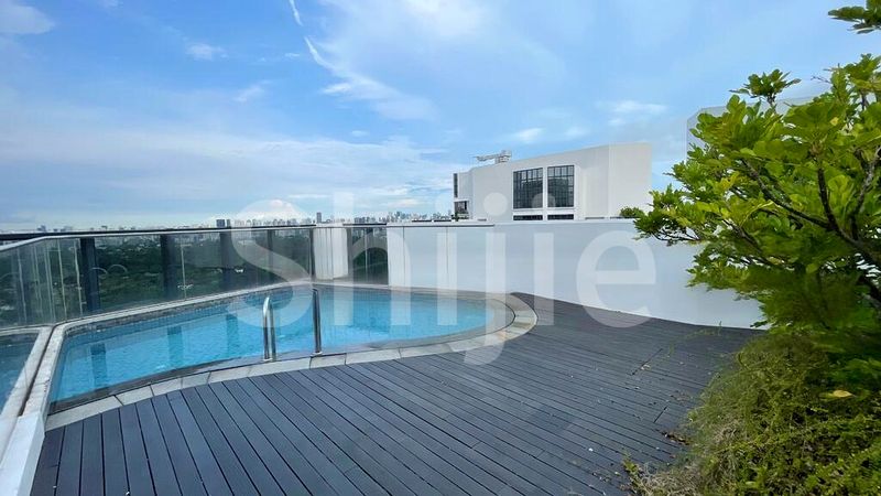 4 Bed Condo for Rent in  D'leedon - Image 11