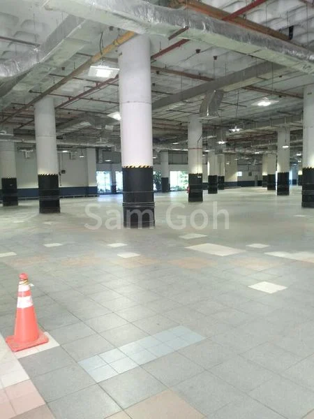 Factory / Workshop (B2) for Rent: Senoko Ave - Image 3