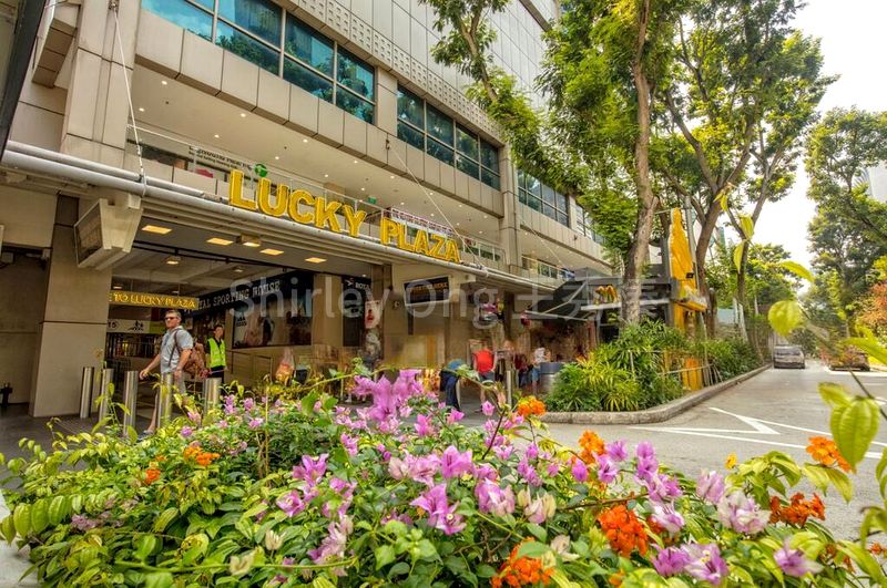 Shop / Shophouse for Rent: Lucky Plaza - Image 3