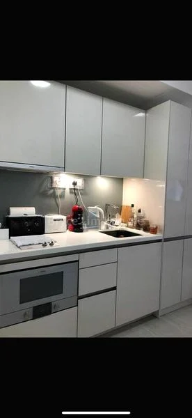 Studio Condo for Rent in  V On Shenton - Image 4