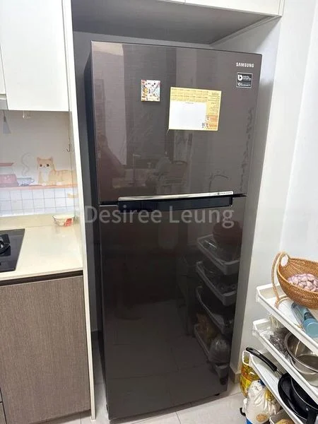 3 Bed Executive Condo for Rent in  The Criterion - Image 5