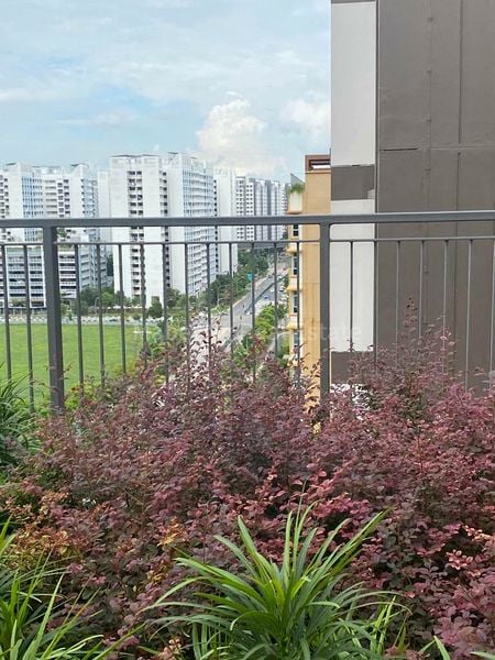 Common Room (HDB) for Rent in 228B Punggol Field - Image 11