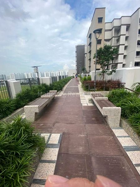 Common Room (HDB) for Rent in 228B Punggol Field - Image 10