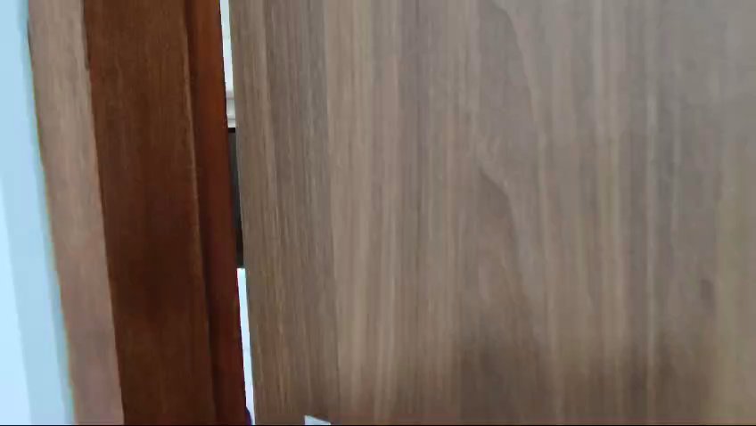 Common Room (Condo) for Rent in  Botanic Gardens Mansion - Image 10