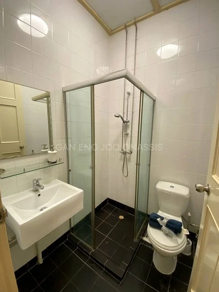 4 Bed Terraced House (Landed) for Rent in  Townerville - Image 22