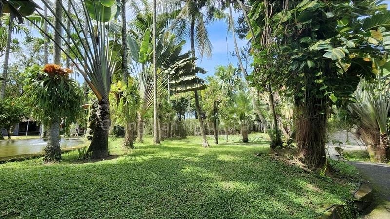 7 Bed Bungalow (Landed) for Sale in  Wallace Way - Image 4