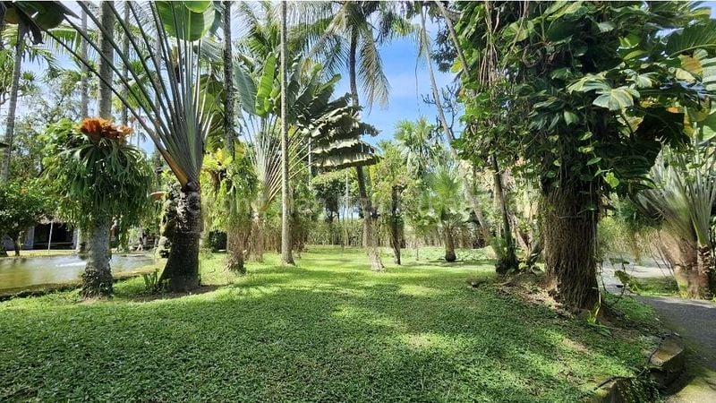 7 Bed Bungalow (Landed) for Sale in  Wallace Way - Image 3