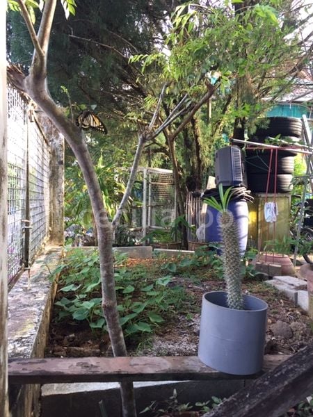 2 Bed Corner Terrace (Landed) for Sale in  Jalan Kemuning - Image 5