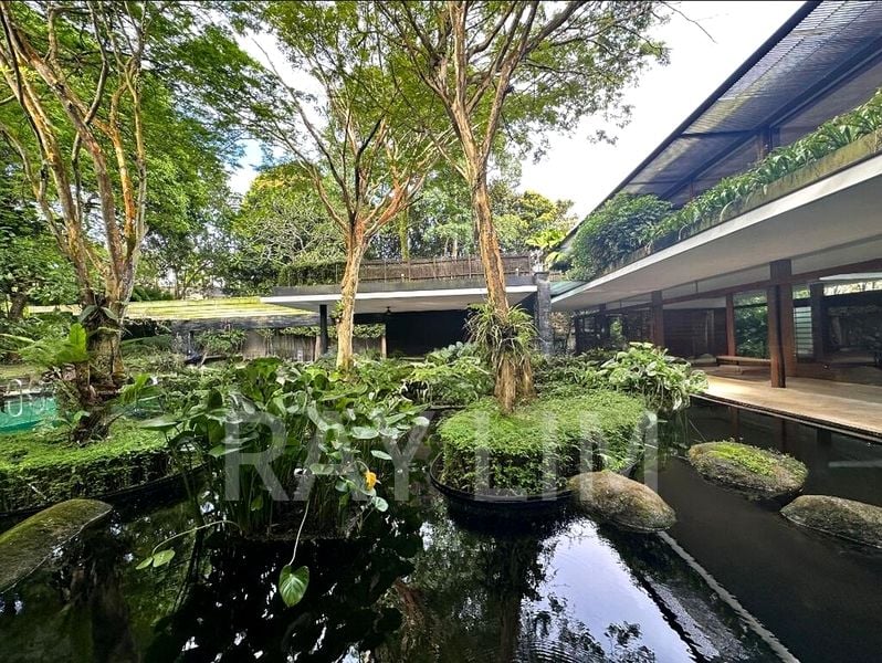 6 Bed Bungalow (Landed) for Rent in  Nassim Road - Image 13