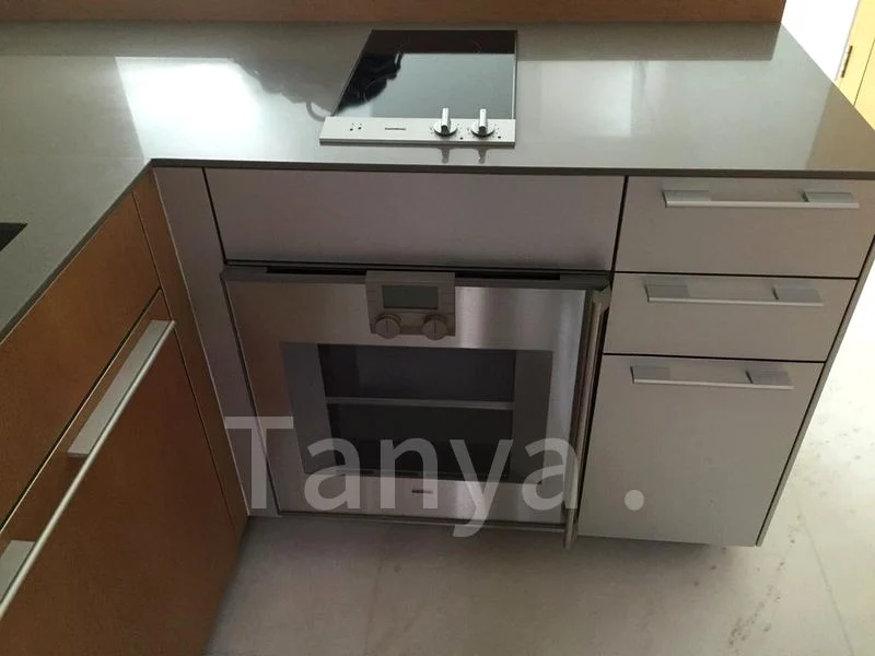 3 Bed Condo for Rent in  Beaufort On Nassim - Image 11