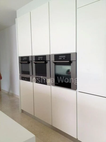 4 Bed Condo for Rent in  Parvis - Image 10