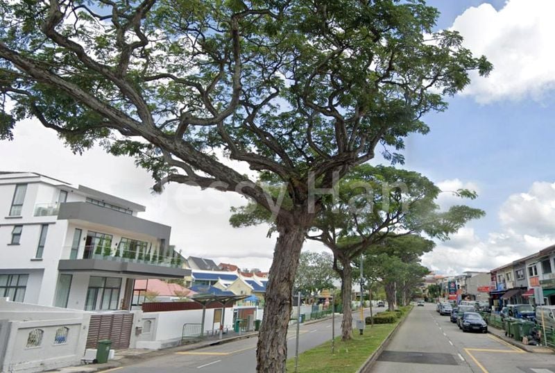 6 Bed Semi-Detached House (Landed) for Sale in  Frankel Estate - Image 2