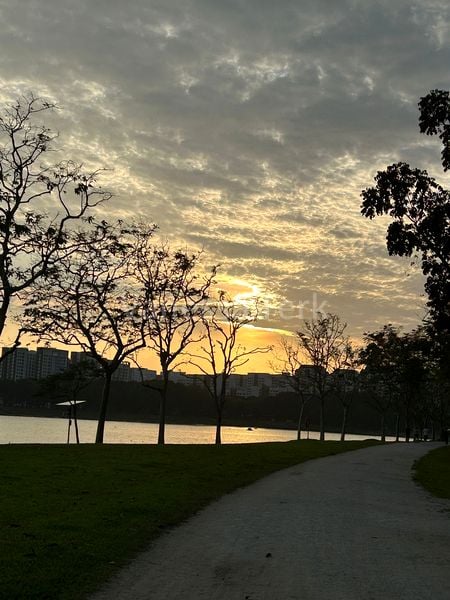 Common Room (HDB) for Rent in  706 Bedok North Road - Image 4