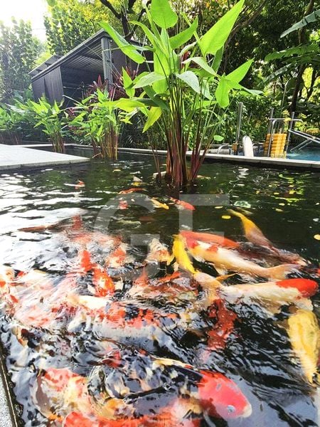 3 Bed Condo for Rent in  Commonwealth Towers - Image 10