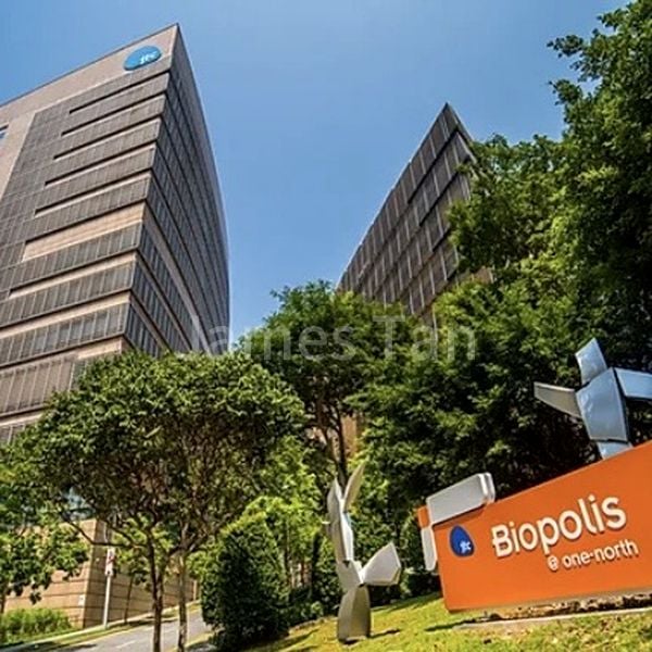 Common Room (HDB) for Rent in  12 Holland Avenue - Image 8