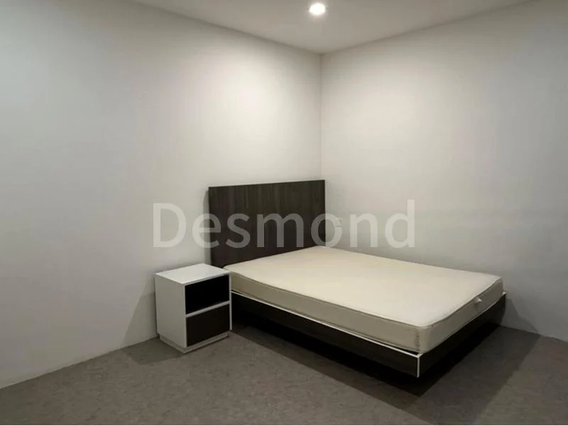 Common Room (Condo) for Rent in  Petain Road/Tyrwhitt Road Conservation Area - Image 7