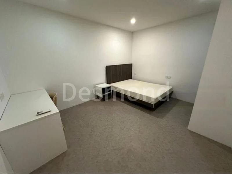 Common Room (Condo) for Rent in  Petain Road/Tyrwhitt Road Conservation Area - Image 3
