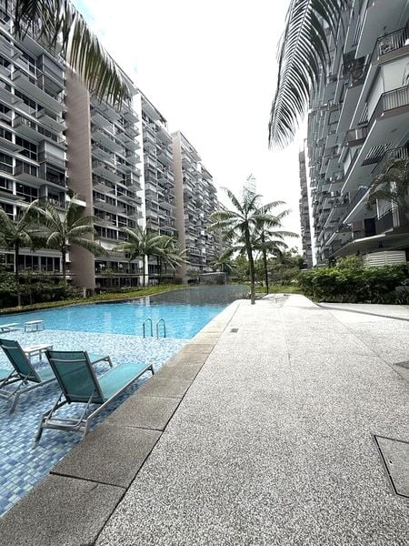 2 Bed Executive Condo for Sale in  Citylife @ Tampines - Image 9