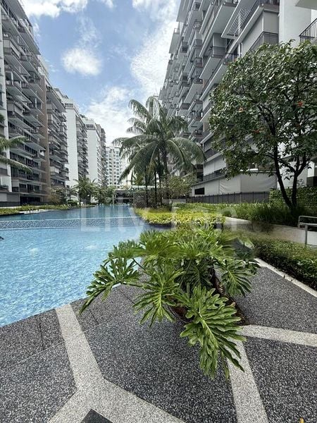 2 Bed Executive Condo for Sale in  Citylife @ Tampines - Image 11