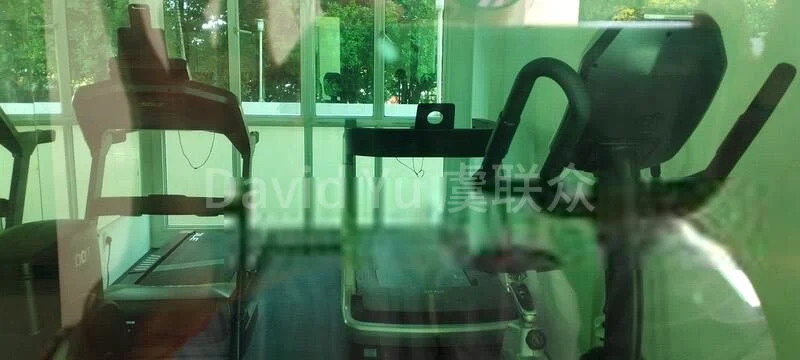 Room (Condo) for Rent in  Papillon - Image 9