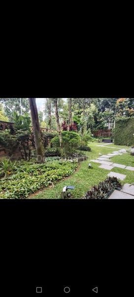 4 Bed Terraced House (Landed) for Sale in Cheng San Crest - Image 5