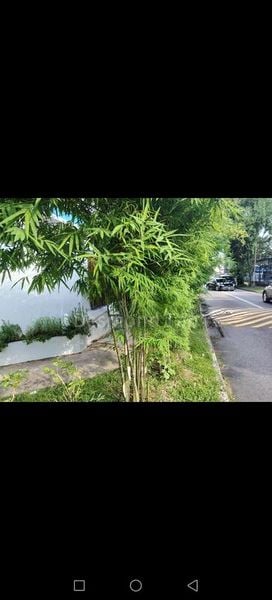 4 Bed Terraced House (Landed) for Sale in Cheng San Crest - Image 1