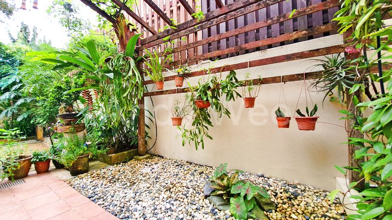 6 Bed Semi-Detached House (Landed) for Sale in  Gerald Drive - Image 12