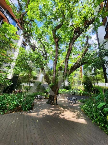 2 Bed Condo for Sale in  Daintree Residence - Image 7