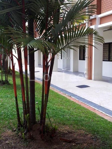 Common Room (HDB) for Rent in  27 New Upper Changi Road - Image 8