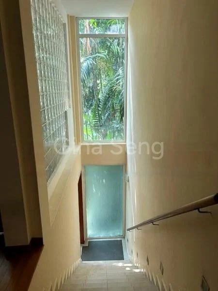 5 Bed Conservation House (Landed) for Sale in  Emerald Hill Conservation Area - Image 2