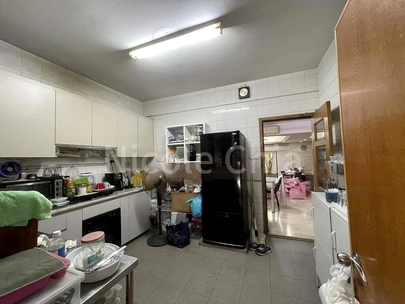 5 Bed Semi-Detached House (Landed) for Sale in  Florida Park - Image 3